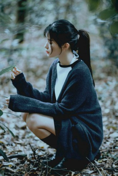 四方馆电视剧在线观看
