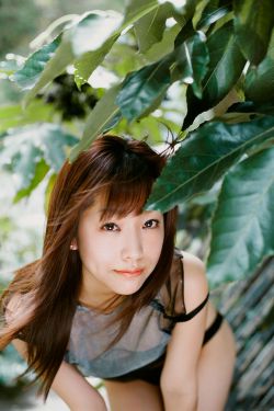英雄燕双鹰