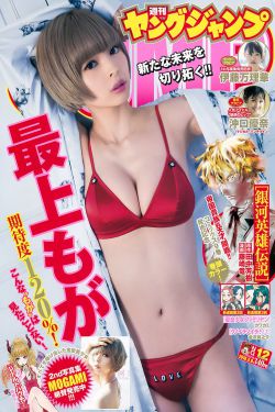 纵横四海小说