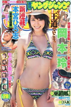 顾南烟陆北城全文免费阅读小说