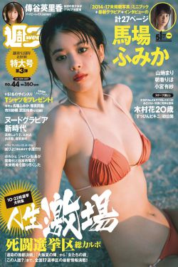 夏至小说