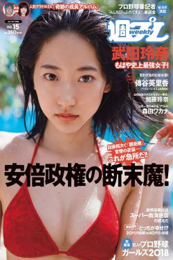 四方馆电视剧免费观看完整版高清