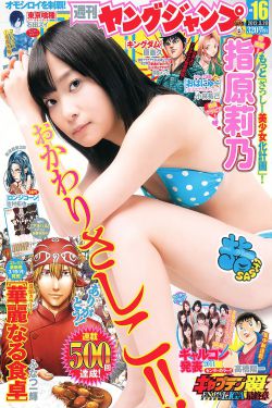 娘道电视剧全集免费观看播放