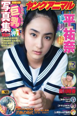 锦绣缘华丽冒险