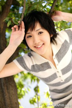 太子 鹦鹉晒月